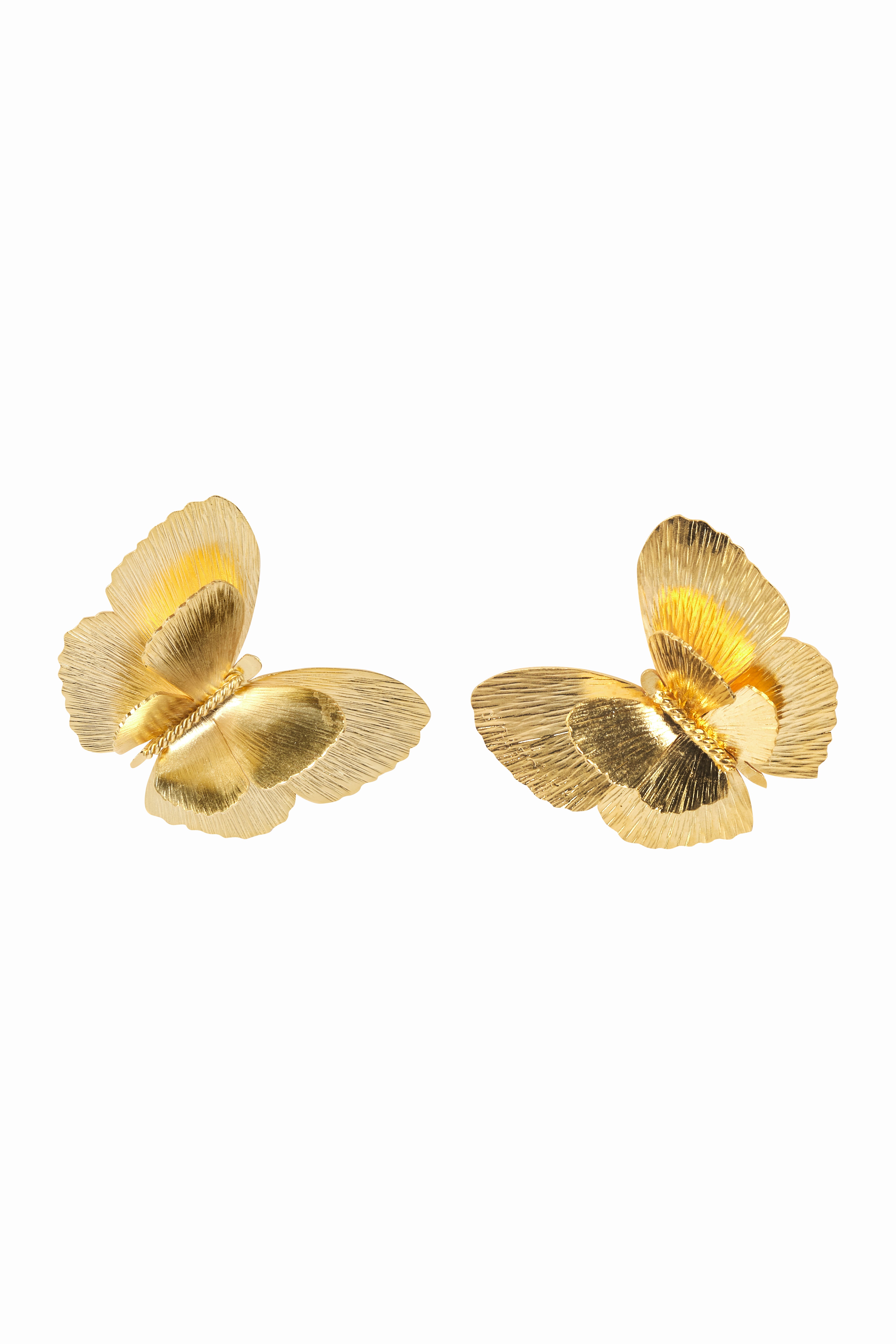 MEDIUM MONARCHS